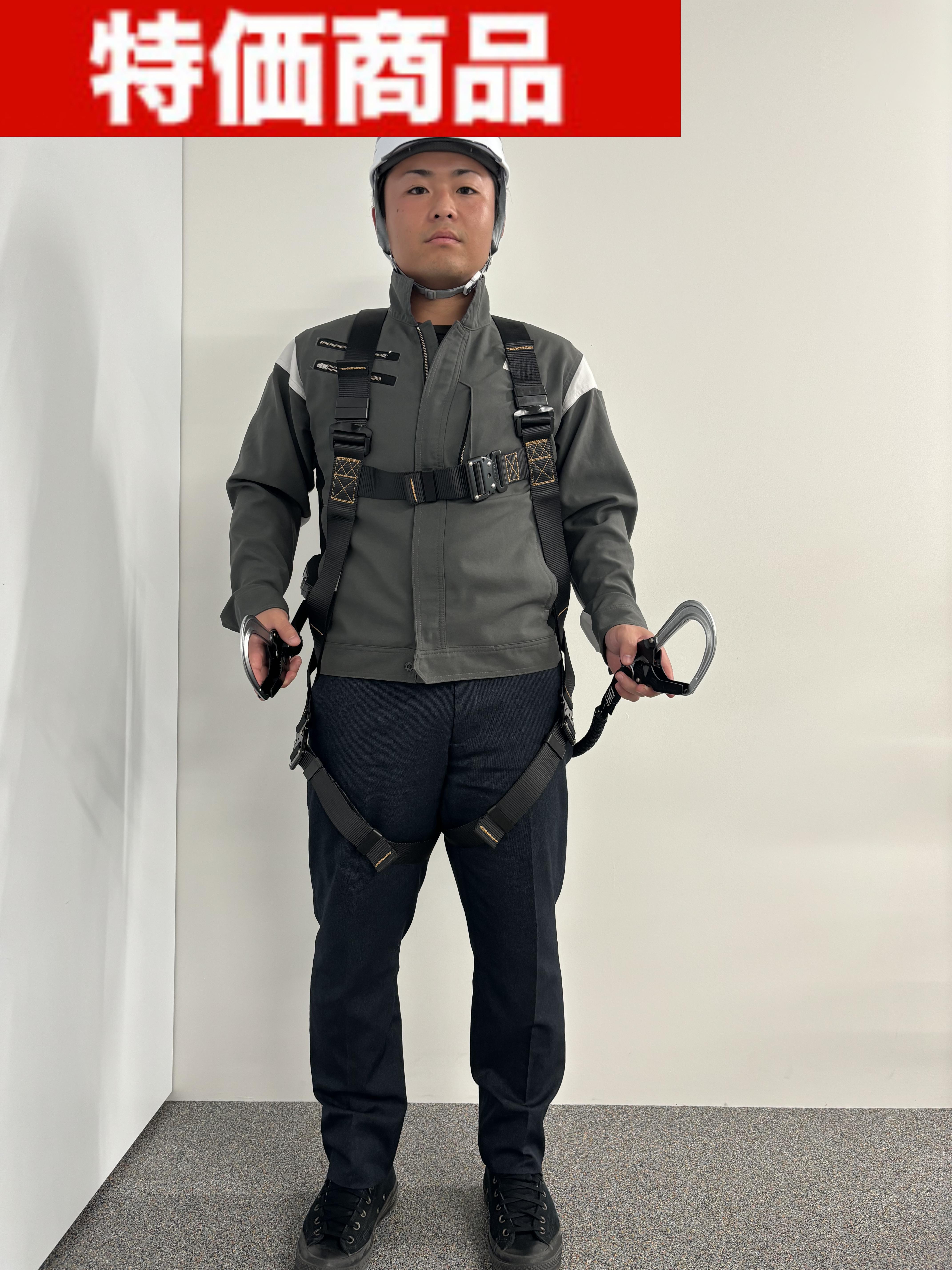 harness_tanizawa_1